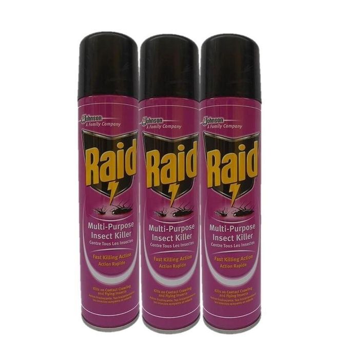 Raid insecticide -300ml